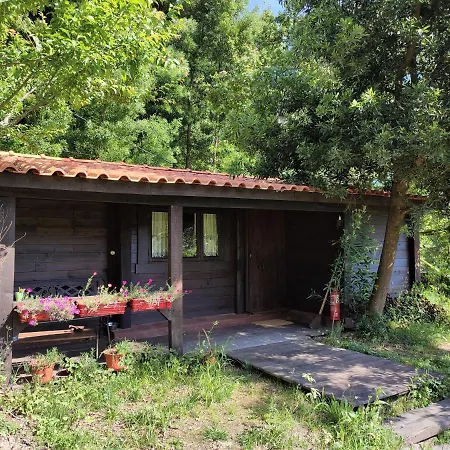 O Cantinho De Coura - A Chalet *