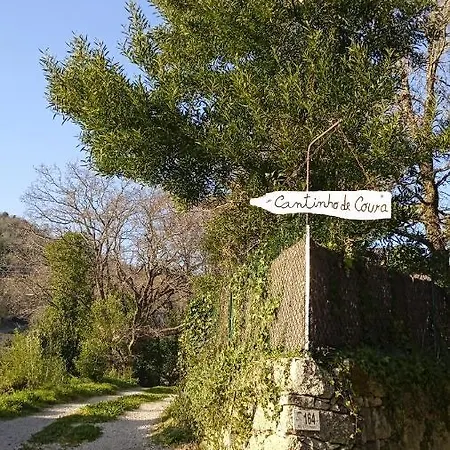 O Cantinho De Coura - A Paredes de Coura