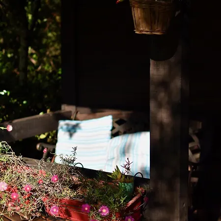 O Cantinho De Coura - A * Paredes de Coura