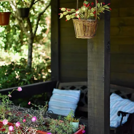 O Cantinho De Coura - A 木屋 帕雷迪什迪科拉