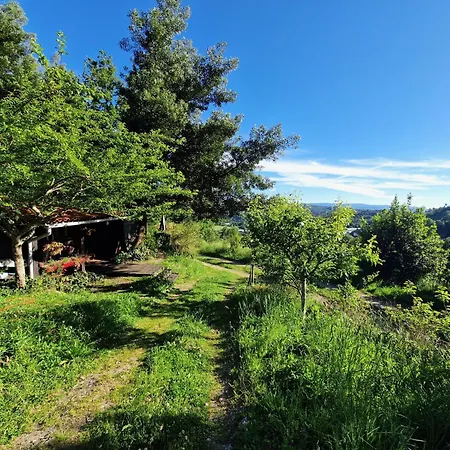 Chalet O Cantinho De Coura - A *