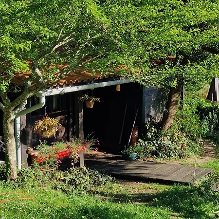 O Cantinho De Coura - A