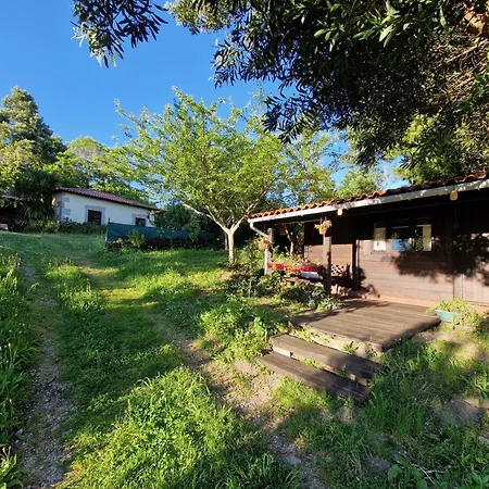 O Cantinho De Coura - A * Паредиш-ди-Кора