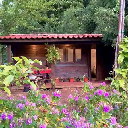 Chalet O Cantinho De Coura - A *