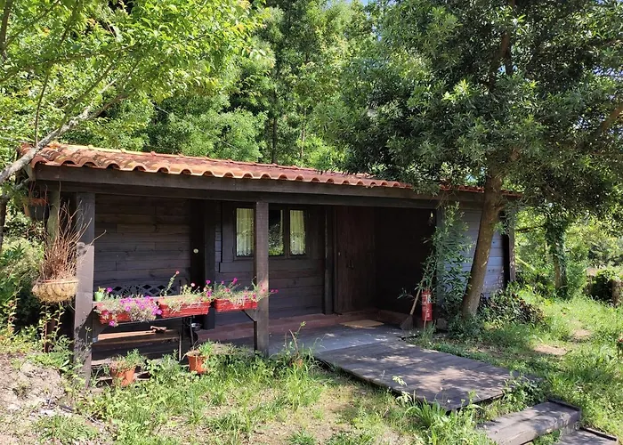 O Cantinho De Coura - A Chalet *