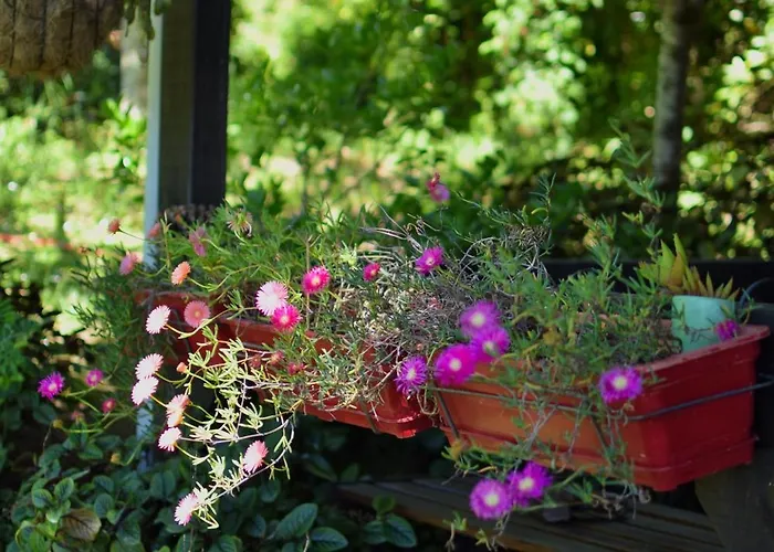 O Cantinho De Coura - A * פארדס דה קורה