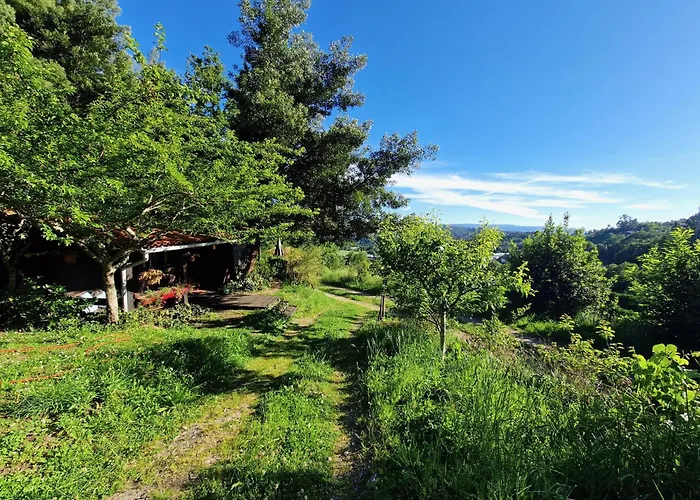 Chalet O Cantinho De Coura - A *