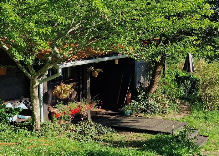 O Cantinho De Coura - A