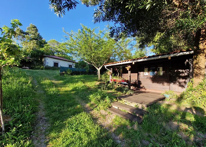 O Cantinho De Coura - A * Paredes de Coura