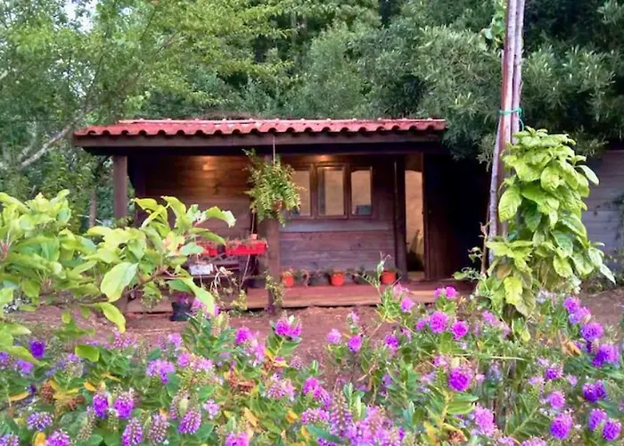 Chalet O Cantinho De Coura - A *